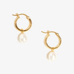 Lucy - Pearl Earrings - 14ct Gold–Plated Lucy - Pearl Earrings - 14ct Gold–Plated
