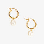 Lucy - Pearl Earrings - 14ct Gold–Plated